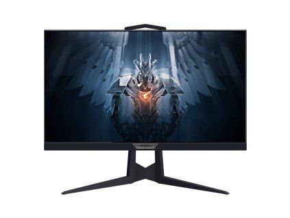 Gigabyte AORUS FI25F 24,5"