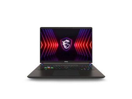 MSI Vector 16 HX A14VGG-269PL