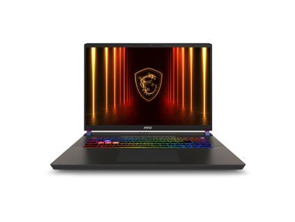 MSI Vector 17 HX AI A2XWHG-041DE