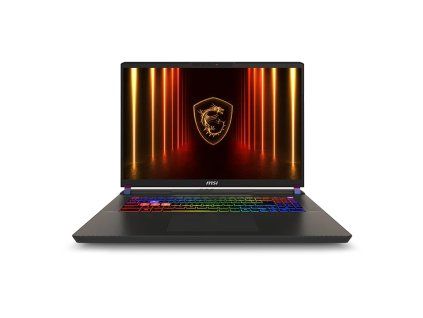 MSI Vector 17 HX AI A2XWHG-035CZ