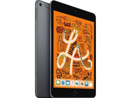 214020 184034 apple ipad mini 7 9 5 generace 256gb space gray wi fi cellular